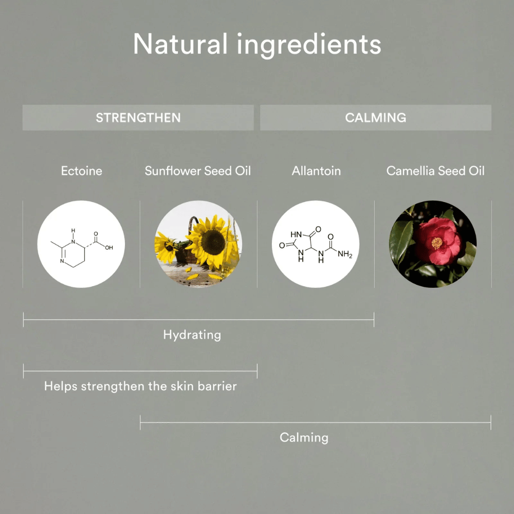 Das Bild zeigt natürliche Inhaltsstoffe, die die Haut stärken und beruhigen: Ectoin und Sonnenblumenkernöl helfen, die Haut mit Feuchtigkeit zu versorgen und die Hautbarriere zu stärken, während Allantoin und Kamelienkernöl empfindliche Haut beruhigen und schützen.