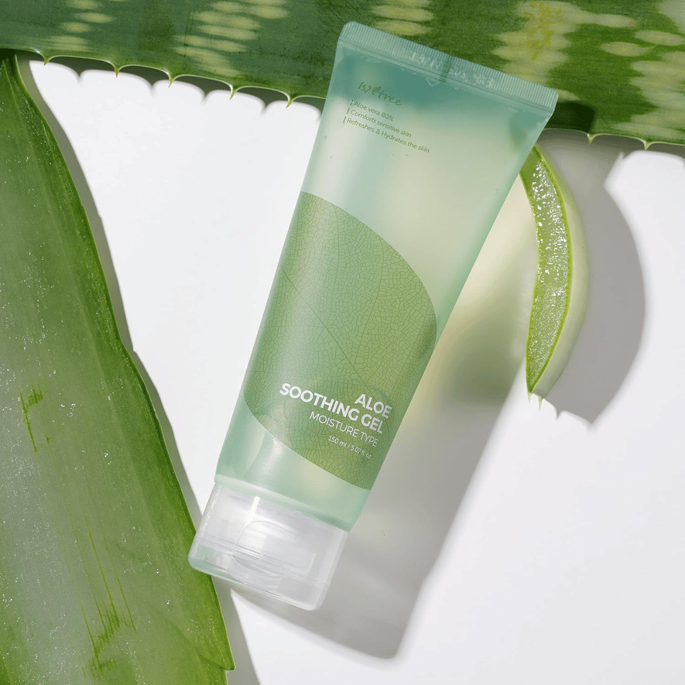 Isntree Aloe Soothing Gel Moisture Type – feuchtigkeitsspendendes Gel mit 80 % Aloe Vera, fotografiert mit frischen Aloe-Blättern