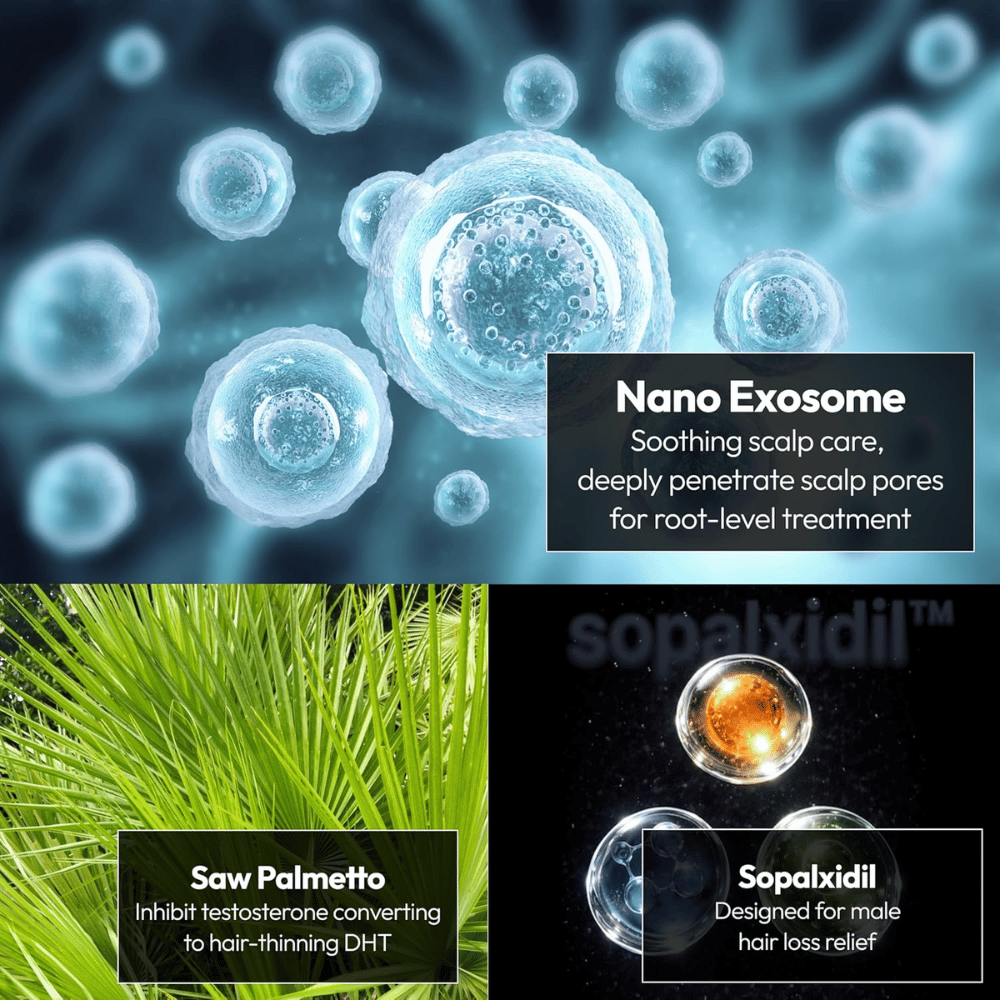 Illustration der Schlüsselinhaltsstoffe des Produkts, darunter Nanoexosomen, Saw Palmetto und Sopalxidil™. Die Inhaltsstoffe werden hervorgehoben, um die Kopfhautpflege zu unterstützen, DHT-bedingten Haarausfall zu verringern und die Voraussetzungen des Haares zu stärken.