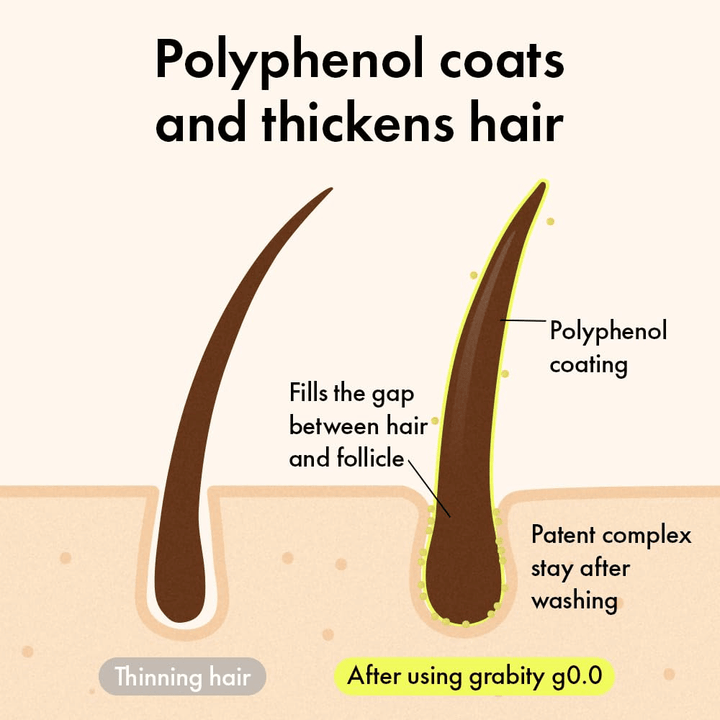 Diagramm, das zeigt, wie Polyphenole das Haar umhüllen, um ein dickeres und volleres Aussehen mit lang anhaltender volumengebender Wirkung zu erzeugen.