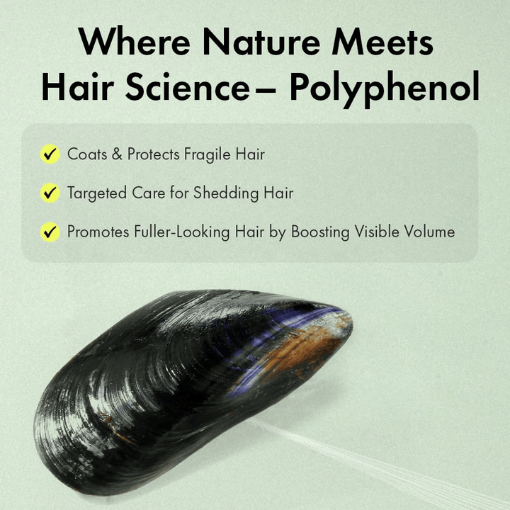 Illustration einer von der Natur inspirierten Polyphenol-Technologie, die dazu beiträgt, empfindliche Haarsträhnen zu schützen, als dünn empfundenes Haar zu pflegen und zu mehr Volumen beizutragen.