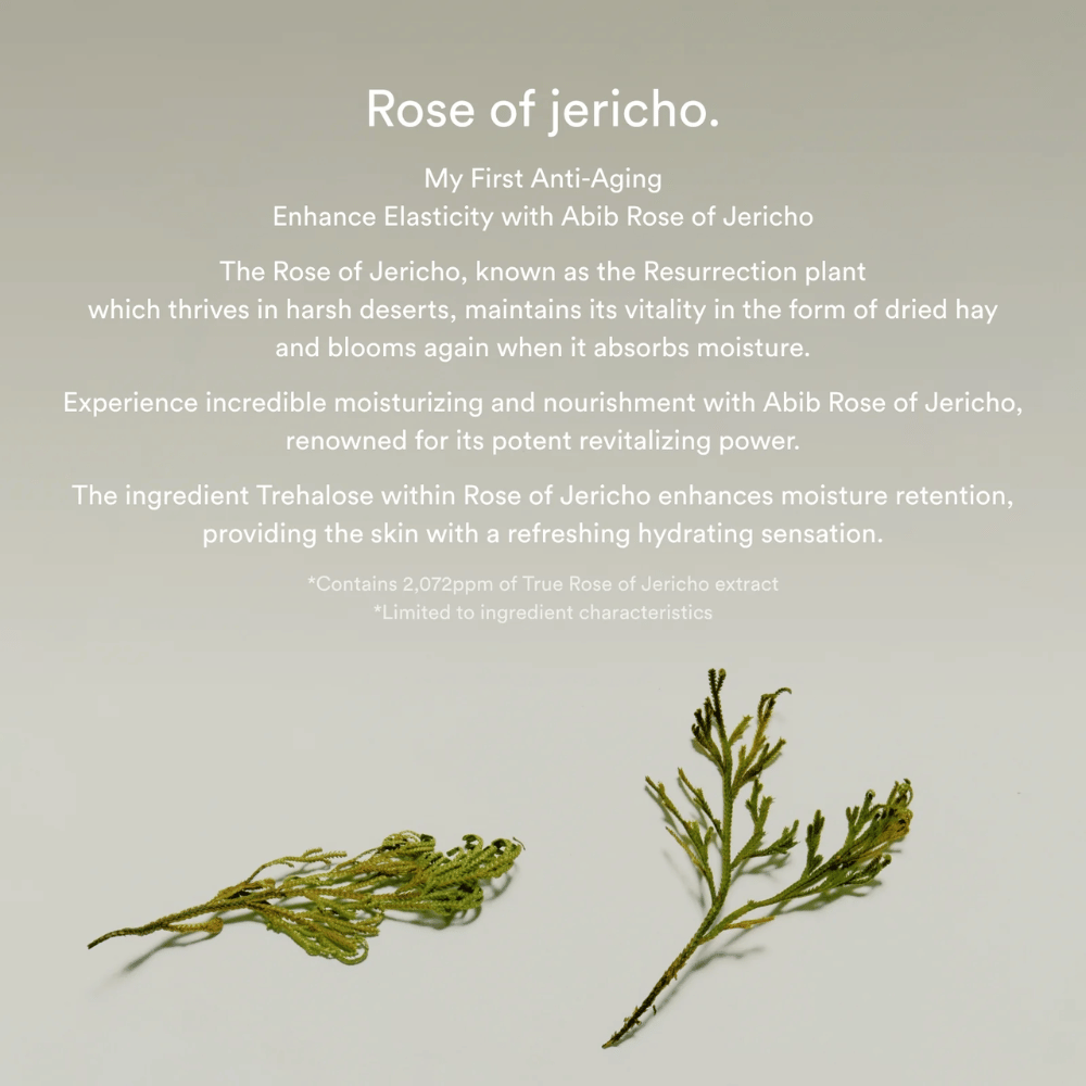 Informationsbild über Rose-of-Jericho-Extrakt, das die feuchtigkeitsspendenden und revitalisierenden Eigenschaften der Pflanze für die Haut beschreibt.