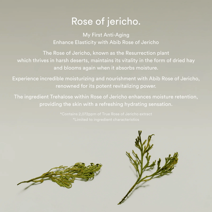 Informationsbild über Rose-of-Jericho-Extrakt, das die feuchtigkeitsspendenden und revitalisierenden Eigenschaften der Pflanze für die Haut beschreibt.