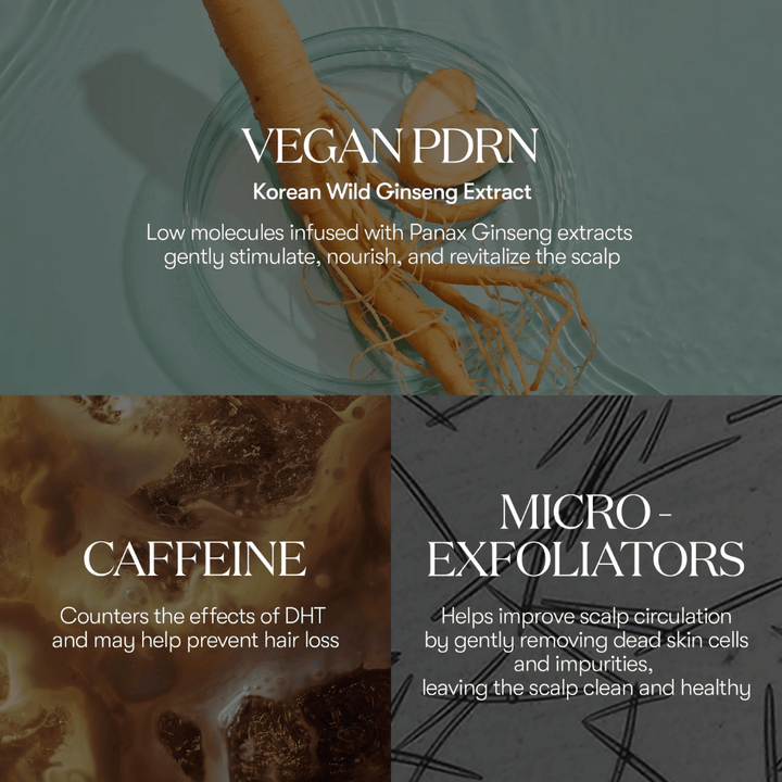 Illustration der aktiven Inhaltsstoffe in PDRN Reedle Shot Hair Ampoule 100dL mit veganem PDRN aus koreanischem Wildginseng, Koffein und Mikro-Exfoliatoren, die die Kopfhaut pflegen und revitalisieren.