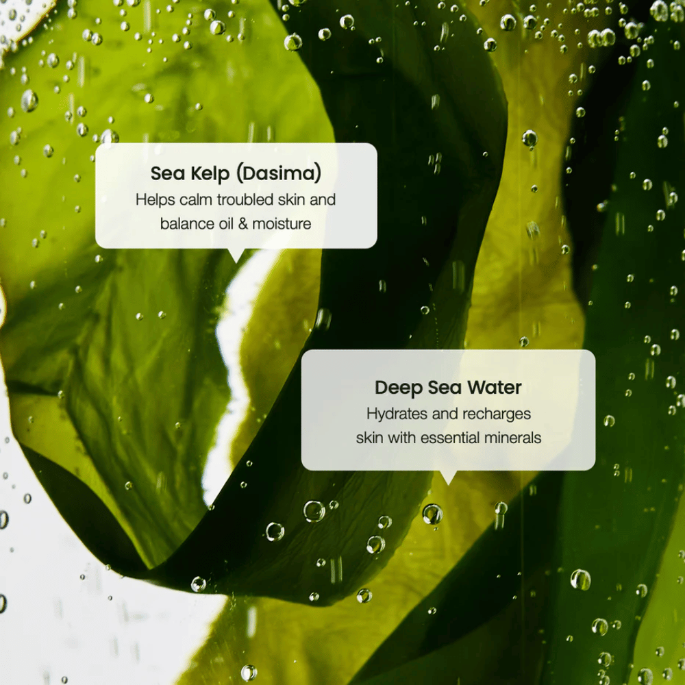 Seetangextrakt und Tiefseewasser in Biodance Refreshing Sea Kelp Serum – spendet Feuchtigkeit und gleicht die Haut aus.