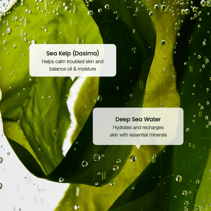 Seetangextrakt und Tiefseewasser in Biodance Refreshing Sea Kelp Serum – spendet Feuchtigkeit und gleicht die Haut aus.